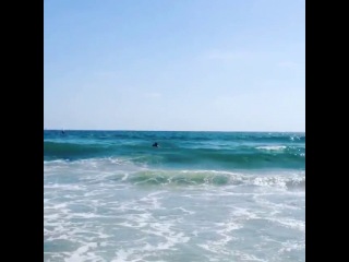 instagram video (instalurk)